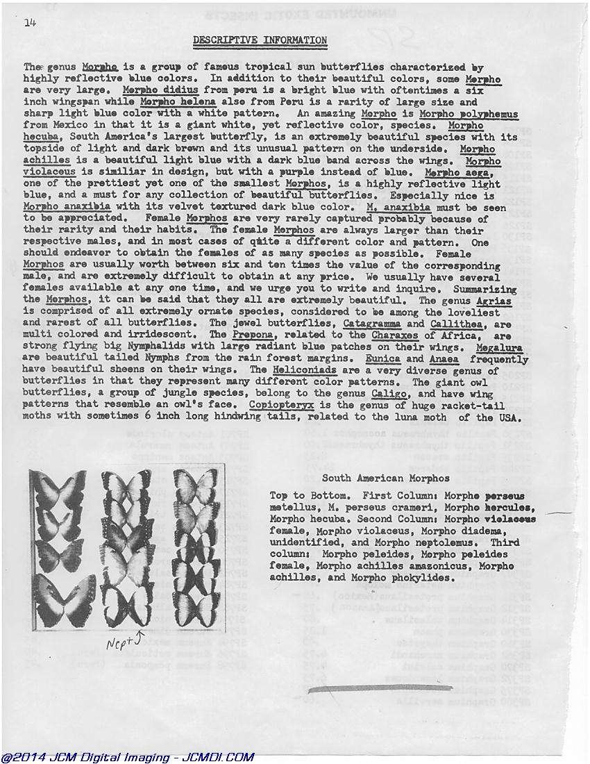 Complete Scientific 1979 Catalog page scan